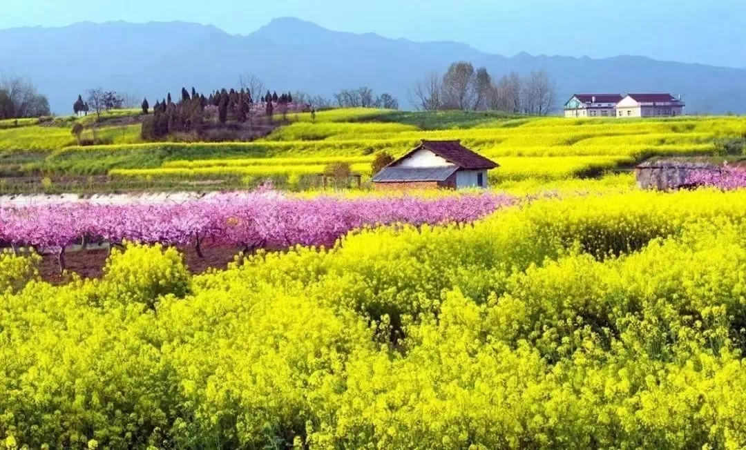 1穿越花海  鞏東明（陜西地礦漢中隊(duì)）攝.jpg
